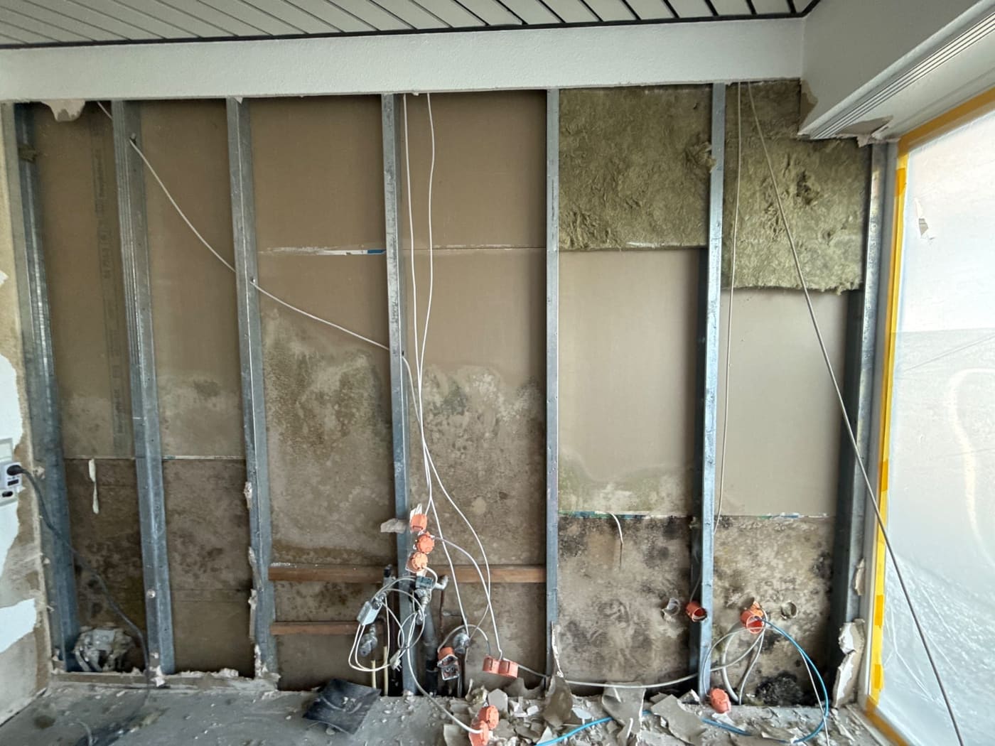 Schimmelpilzbefall auf der Rückseite einer Trockenbauwand