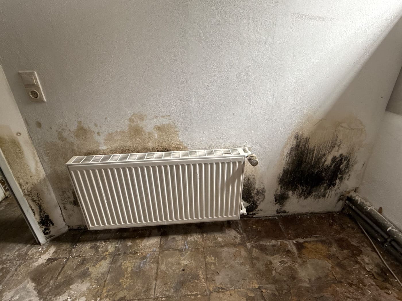 Schimmel hinter einem Heizkörper nach Wasserschaden